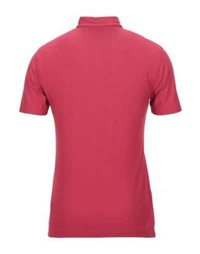 Shop Zanone Man Polo Shirt Red Size 38 Cotton