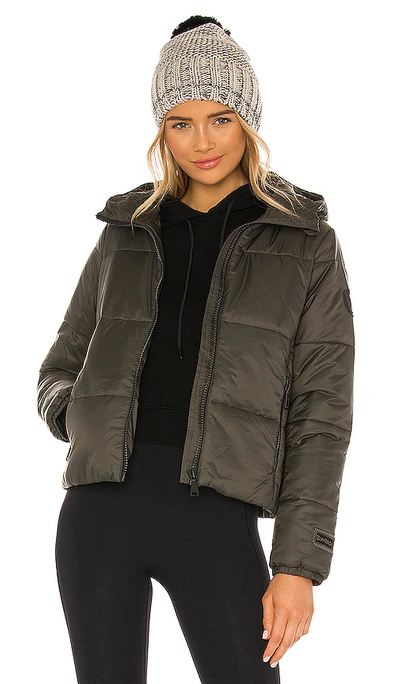 Shop Alp N Rock Denali Bomber Jacket In Bark