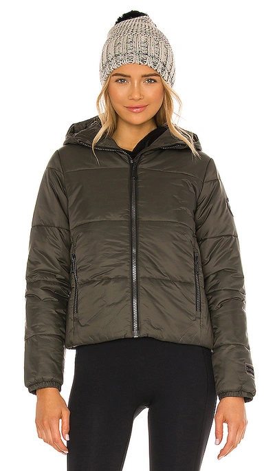 Shop Alp N Rock Denali Bomber Jacket In Bark