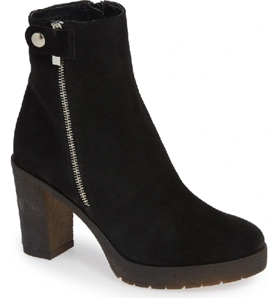 Amalfi By Rangoni Lupetto Side Zip Bootie In Black Suede