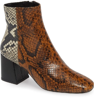 Freda Salvador Charm Reptile Embossed Bootie In Brown Snake Embossed Leather