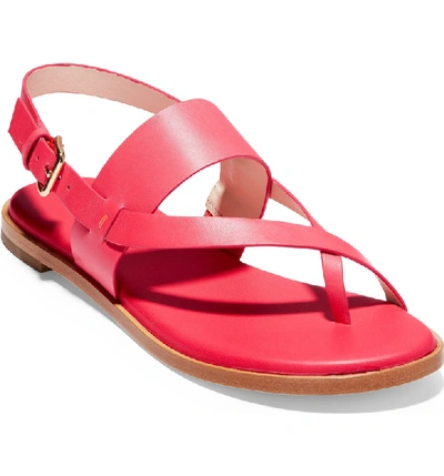 Cole Haan Anica Sandal In Teaberry Leather