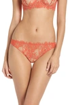 Skarlett Blue Entice Lace Thong In Fiesta/ Terra Cotta