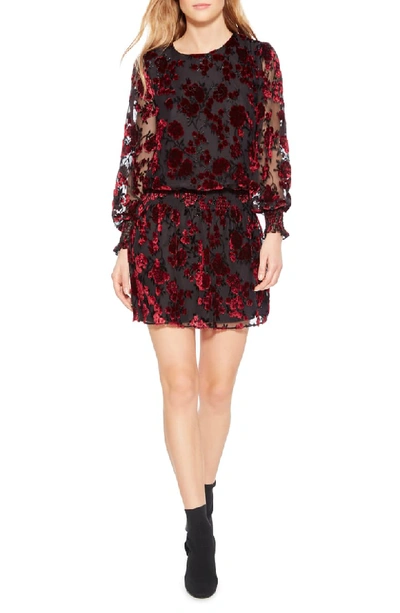 Parker Carmindy Floral Velvet Long-sleeve Short Dress In Merlot