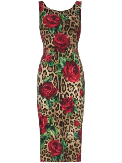 Dolce & Gabbana Sleeveless Square-neck Rose & Leopard Print Dress