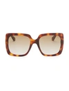 Gucci Avana 54mm Square Sunglasses In Havana