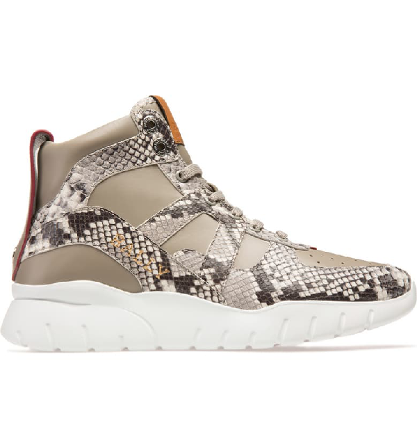 bally birko sneaker