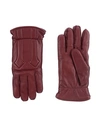 Dsquared2 Gloves In Maroon