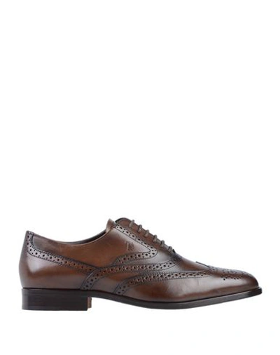 Tod's Lace-up Shoes In Cocoa