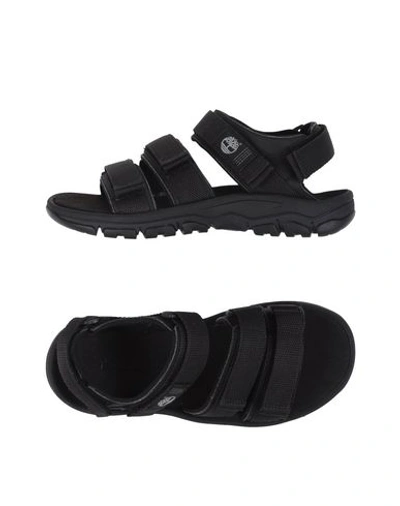 Timberland Sandals In Black