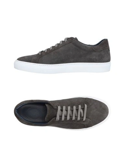 Andrea Zori Sneakers In Steel Grey