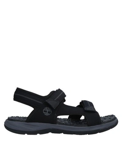 Timberland Sandals In Black