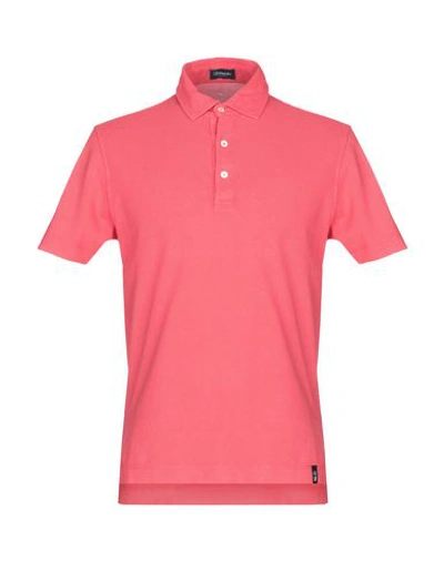 Drumohr Polo Shirts In Coral
