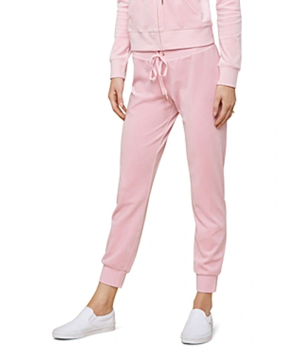 Juicy Couture Black Label Luxe Zuma Velour Jogger Pants In Pink