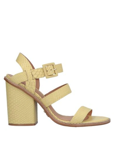 Carrano Sandals In Light Yellow