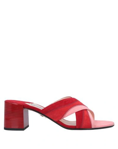Andrea Gomez Sandals In Red