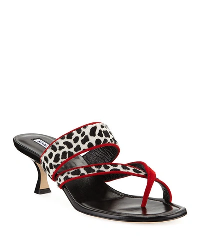 Manolo Blahnik Susa Fur Slide Sandals In Redpo