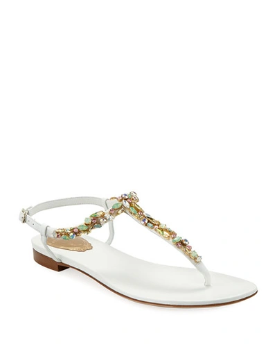 René Caovilla Jeweled Flat Thong Sandals In White Pattern