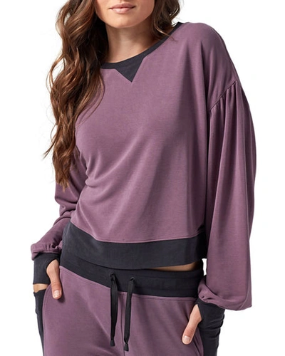 Blanc Noir Amour Cropped Pullover Sweatshirt In Lavender