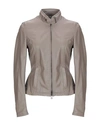 Matchless Biker Jacket In Dove Grey