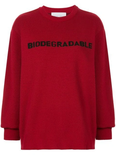 Strateas Carlucci 'biodegradable' Knit Jumper In Red
