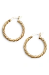 Argento Vivo Rope Hoop Earrings In Gold
