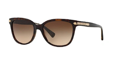 Coach Cat-eye Sunglasses W/ Logo Plate Temples In Dark Tortoise