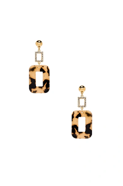 Ettika Rhinestone Tortoise Dangling Earring In Brown