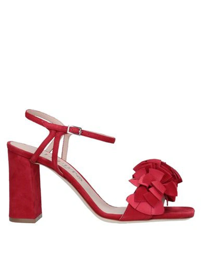Alberto Gozzi Sandals In Brick Red