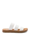 Steve Madden Pascale Slide Sandal In White