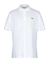 Lacoste Polo Shirts In White