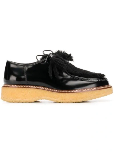 Tod's Lace Ups In Black