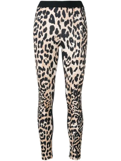 Paco Rabanne Leopard Jersey Printed Leggings
