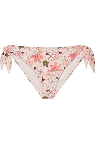 Broochini Indah Floral-print Bikini Briefs In Pastel Pink