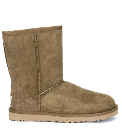 Ugg Tronchetto  Classic Short In Camoscio Verde Fango