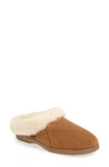 Acorn 'ewe Collar' Genuine Sheepskin Mule Slipper In Walnut