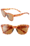 Smith Caper 53mm Chromapop(tm) Polarized Square Sunglasses - Matte Golden Tortoise/ Brown