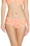 Hanky Panky 'signature Lace' Boyshorts In Nectar Or