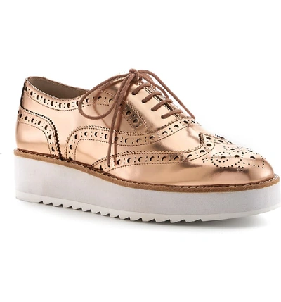 Botkier Women s Clive Platform Oxford Loafers In Metallic Rose