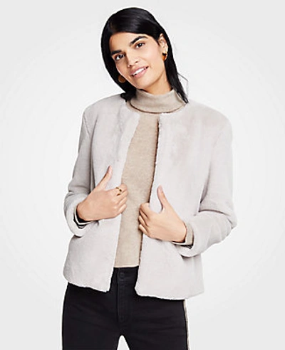 Ann Taylor Petite Faux Fur Jacket In Stargaze Grey