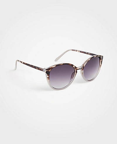 Ann Taylor Pantos Round Sunglasses In Soft Dove