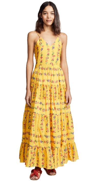 Carolina K Marieta Dress In Flower Stripe Sunshine