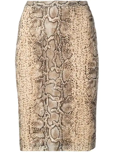 Pre-owned Dolce & Gabbana Snakeskin Effect Pencil Skirt In Neutrals