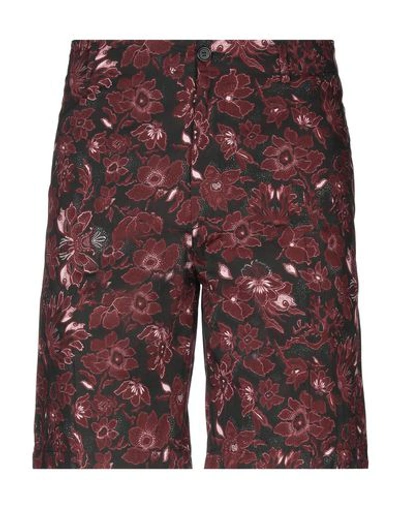 Just Cavalli Man Shorts & Bermuda Shorts Burgundy Size 38 Cotton In Red