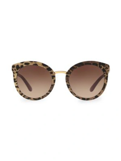 Dolce & Gabbana Dg4268 Leopard 52mm Cat Eye Sunglasses In Bordeaux Leo