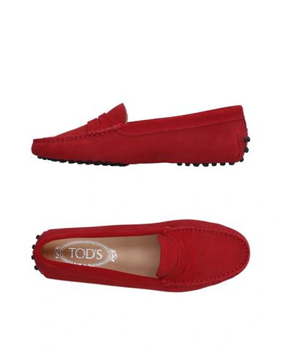 Tod's Loafers In Brick Red