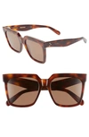 Celine 55mm Special Fit Polarized Square Sunglasses - Classical Havana/ Brown