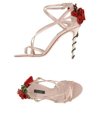 Dolce & Gabbana Sandals In Light Pink