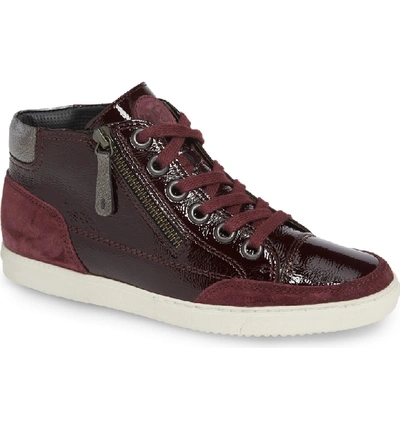 Paul Green Val Mid-top Sneaker In Bordo Crinkled Patent