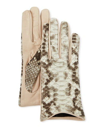 Guanti Giglio Fiorentino Lamb Leather & Python Snake Short Gloves